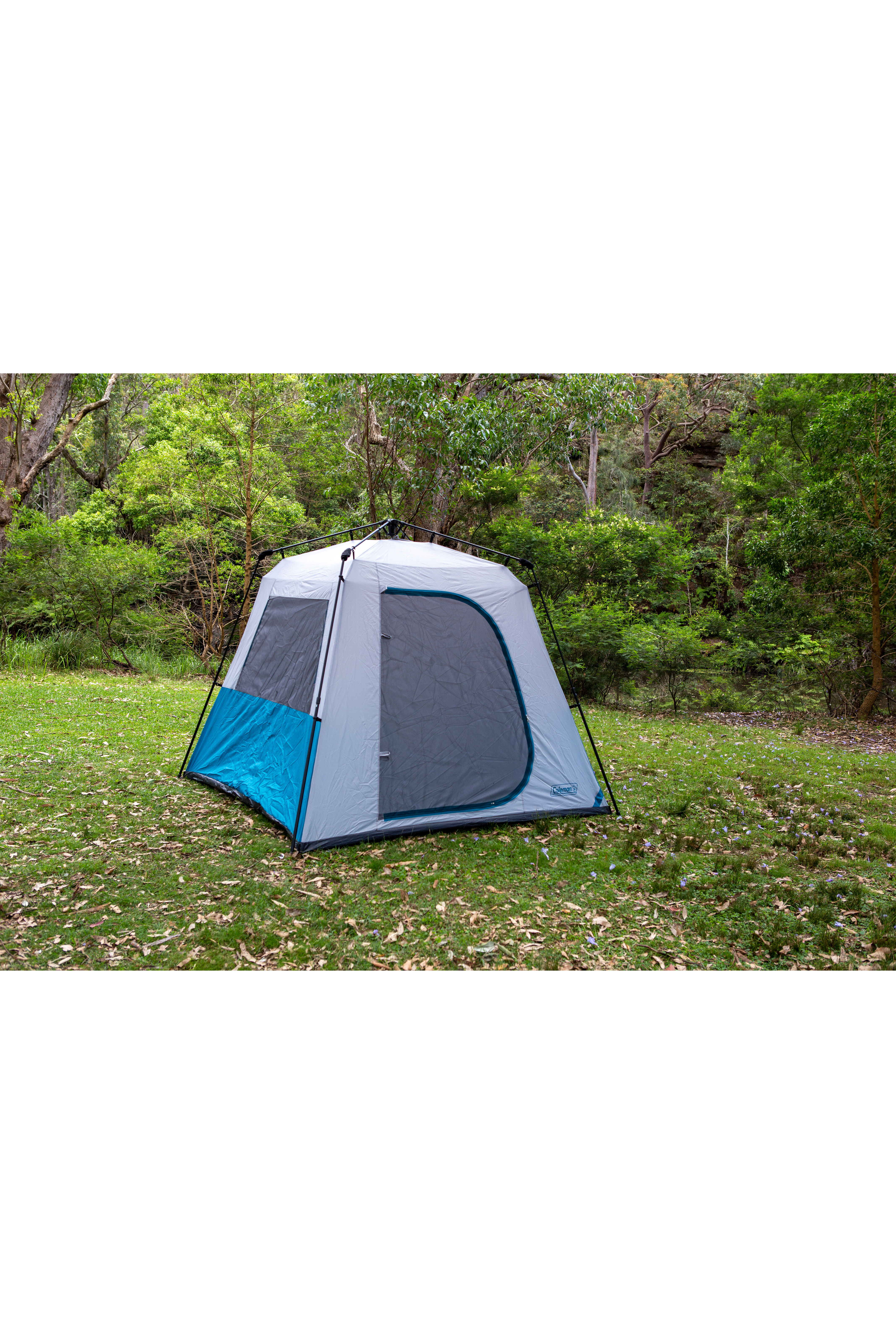 Coleman 4 man instant tent store