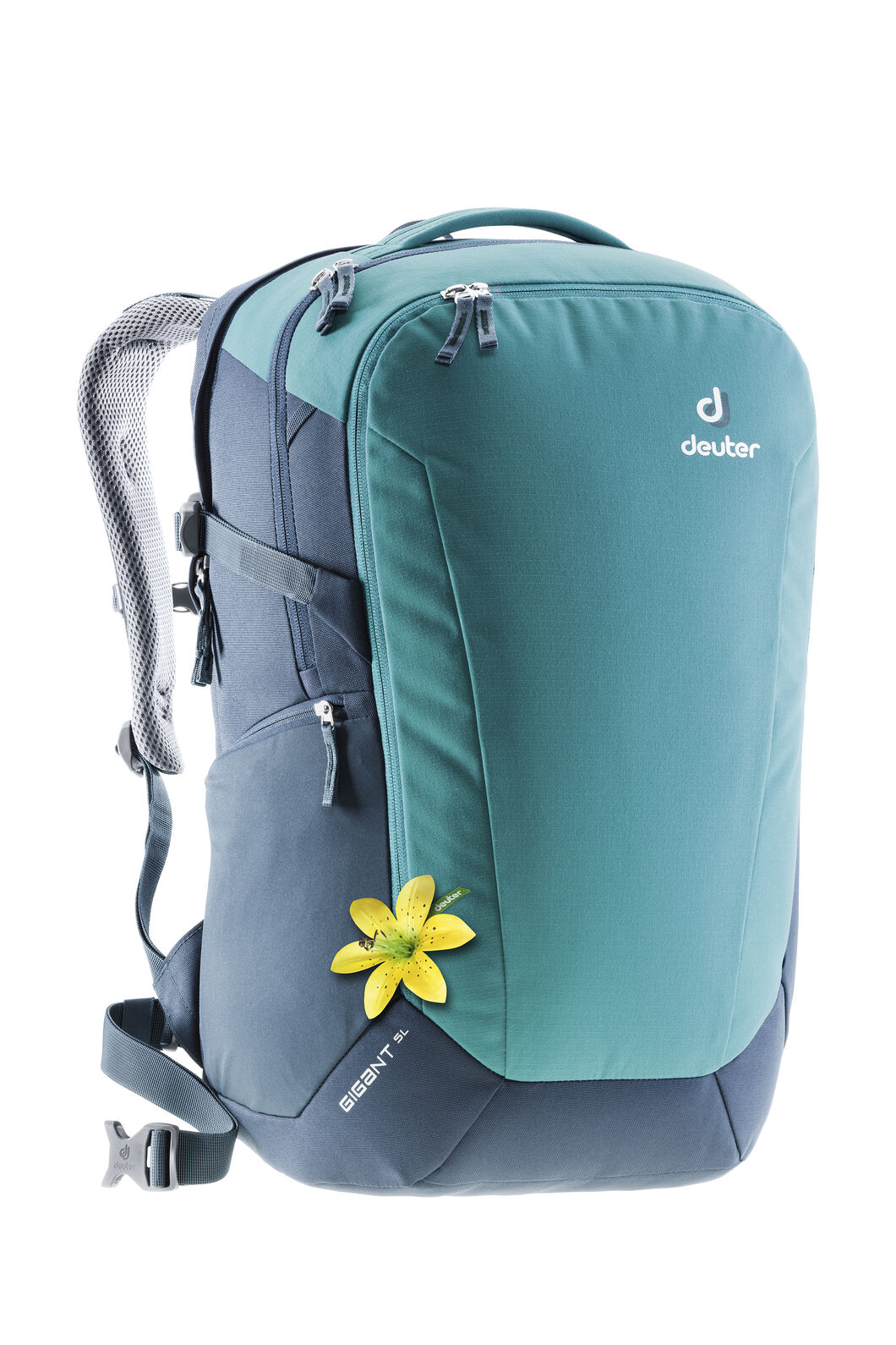 deuter