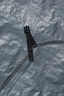 Macpac Equinox Shelter Groundsheet, Charcoal, hi-res