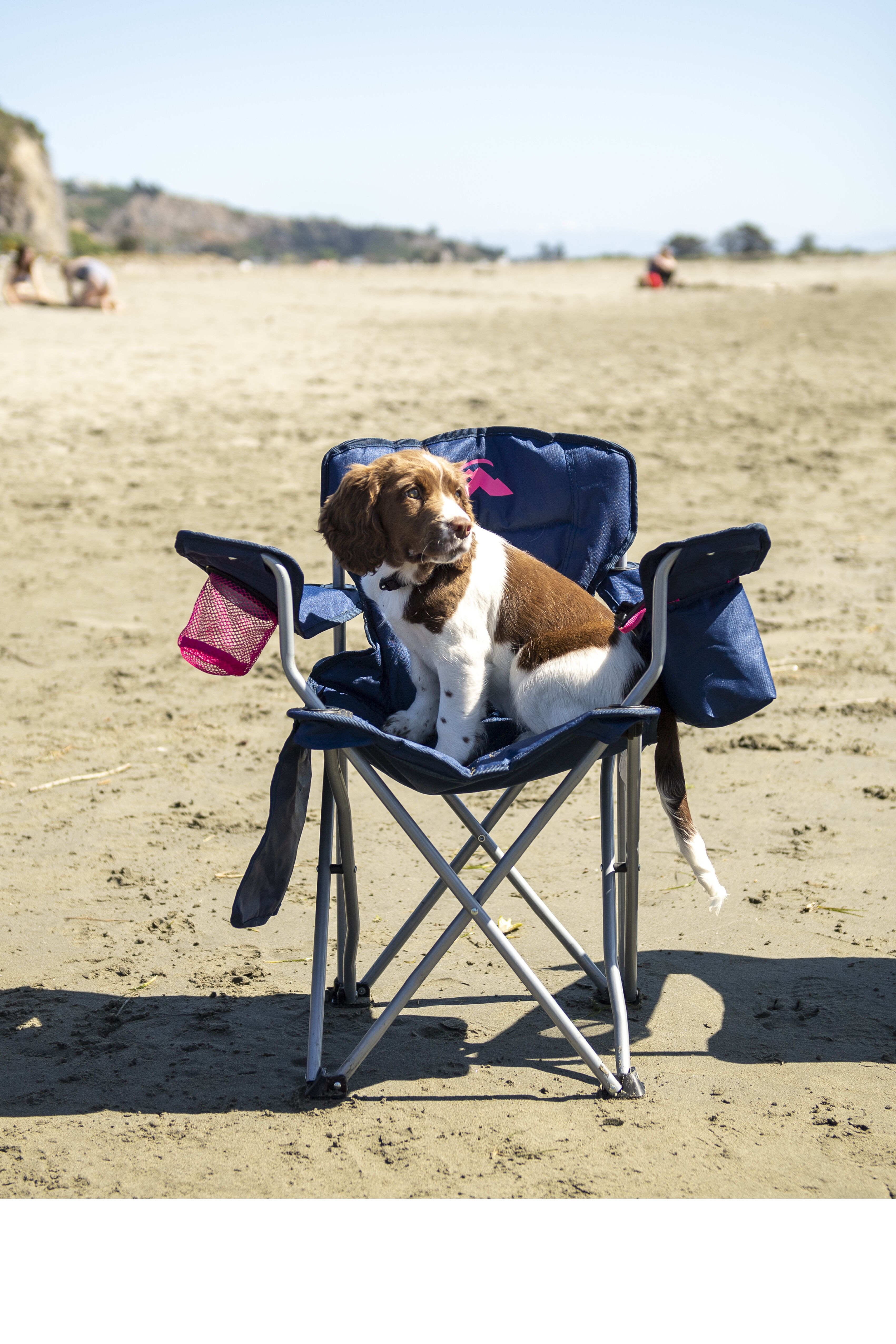 Wanderer kids sales camp chair
