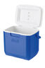 Coleman 28L Cooler, None, hi-res