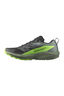 Salomon Men's Sense Ride 5 Running Shoes, Black/Laurel Wreath/Green Geck, hi-res