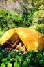 Zempire Zeus 2 Person Hiking Tent, Orange, hi-res