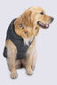 Macpac Dog Coat— XL, Urban Chic/Black, hi-res
