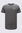 Macpac Men's Arthurs Pass NP Fairtrade Organic Cotton T-Shirt, Agave, hi-res