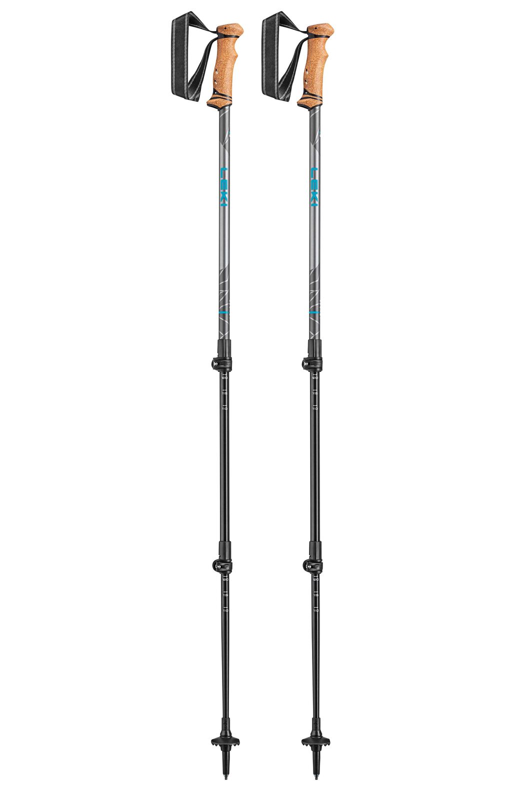 Ascend Acadia Trekking Poles