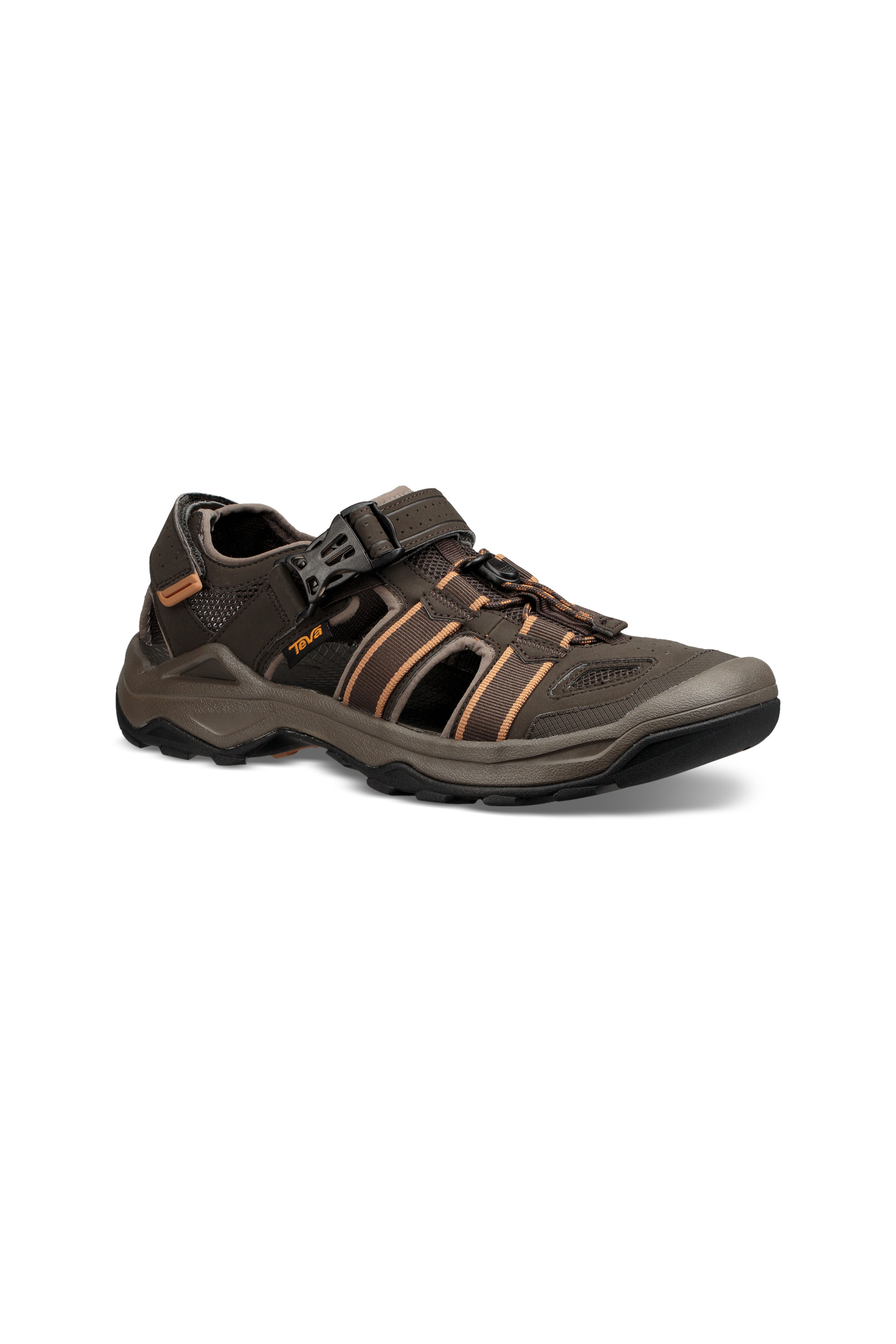 teva omnium 2