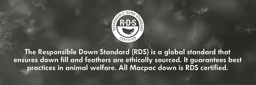 RDS Down RDS Down
