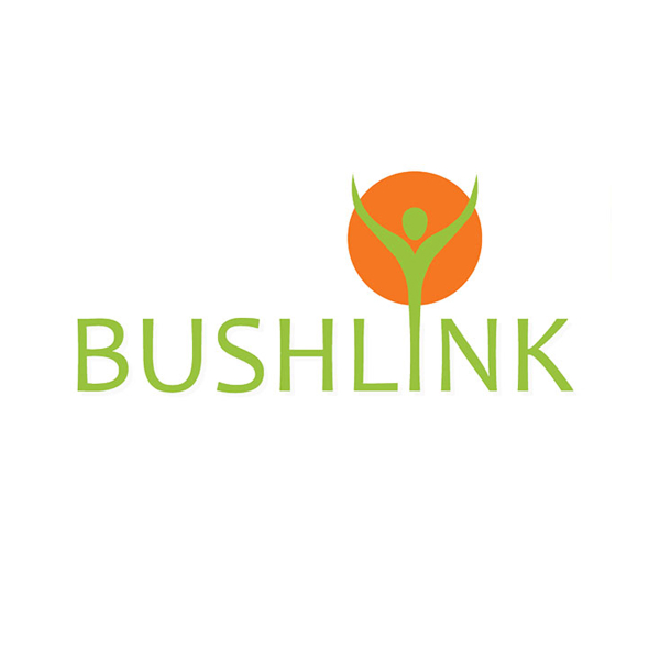 Bushlink Logo