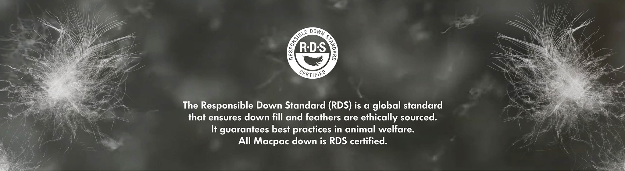 RDS Down RDS Down
