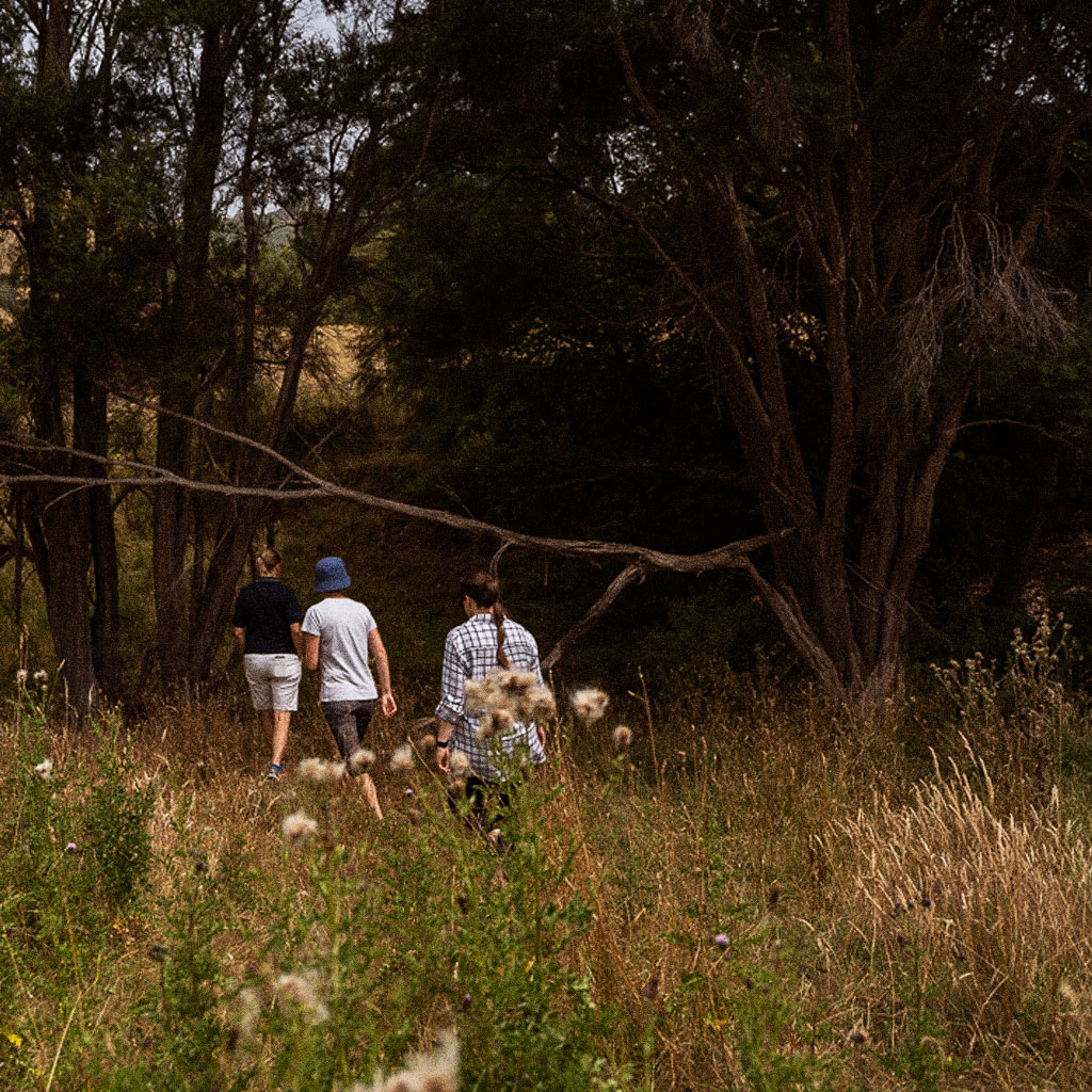 3 people walking into a forest