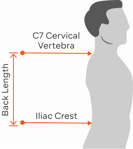 size chart diagram showing how to measure your back length
